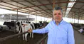 YENİ Parti: Şap Hastalığı Hayvancılığı Tehdit Ediyor
