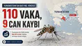 Yunanistan’da Batı Nil virüsü uyarısı: Kimler risk altında?