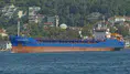 İstanbul'da ticari gemi çarpıştı, 10 mürettebatla irtibat kurulamadı!