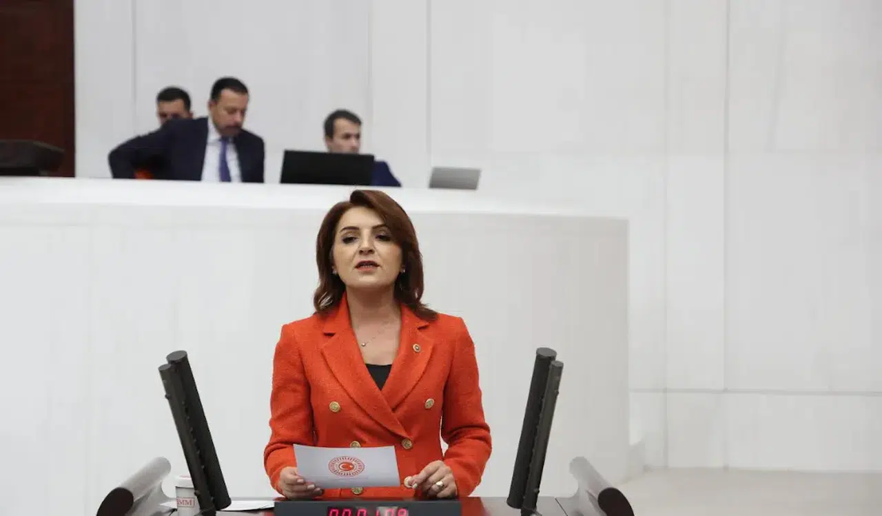 CHP'li Gülcan Kış: Üretim Mısır'a işsizlik Türkiye'ye taşındı