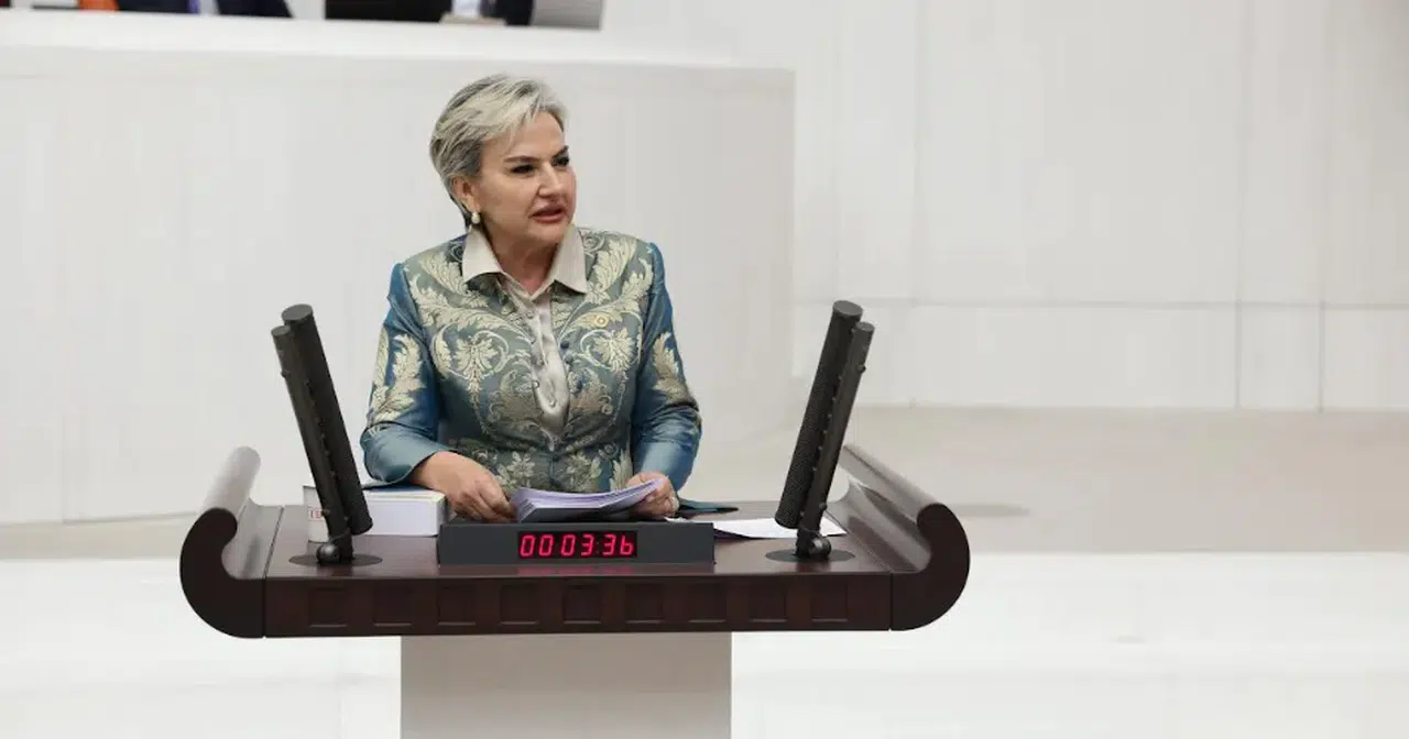 CHP, Özel hastanelerde hamilelere rıza dışı müdahale iddiaları TBMM gündemine taşıdı