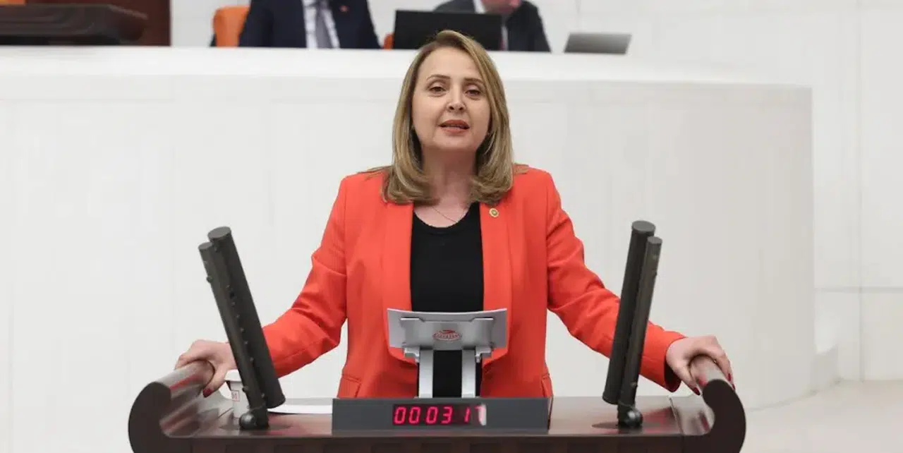 CHP'li Dinçer, Türkiye'de Güvenlik Krizini, Artan Cinayetler ve Silahlanma Kaygısını Meclis Gündemine Taşıdı