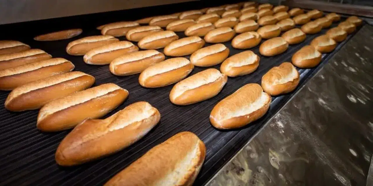 Antalya'da ucuz ekmek çılgınlığı yayılıyor