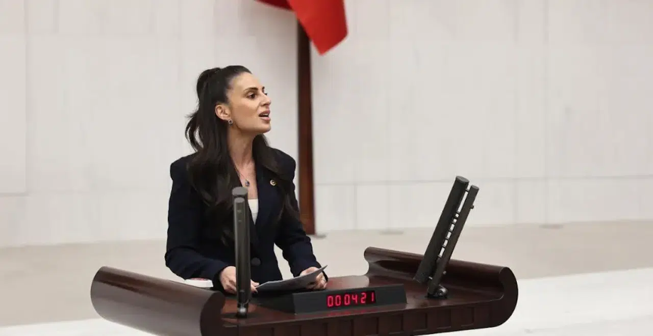 CHP Gizem Özcan, Üniversite Öğrencilerinin Ekonomik Zorluklarını TBMM'de Gündeme Getirdi