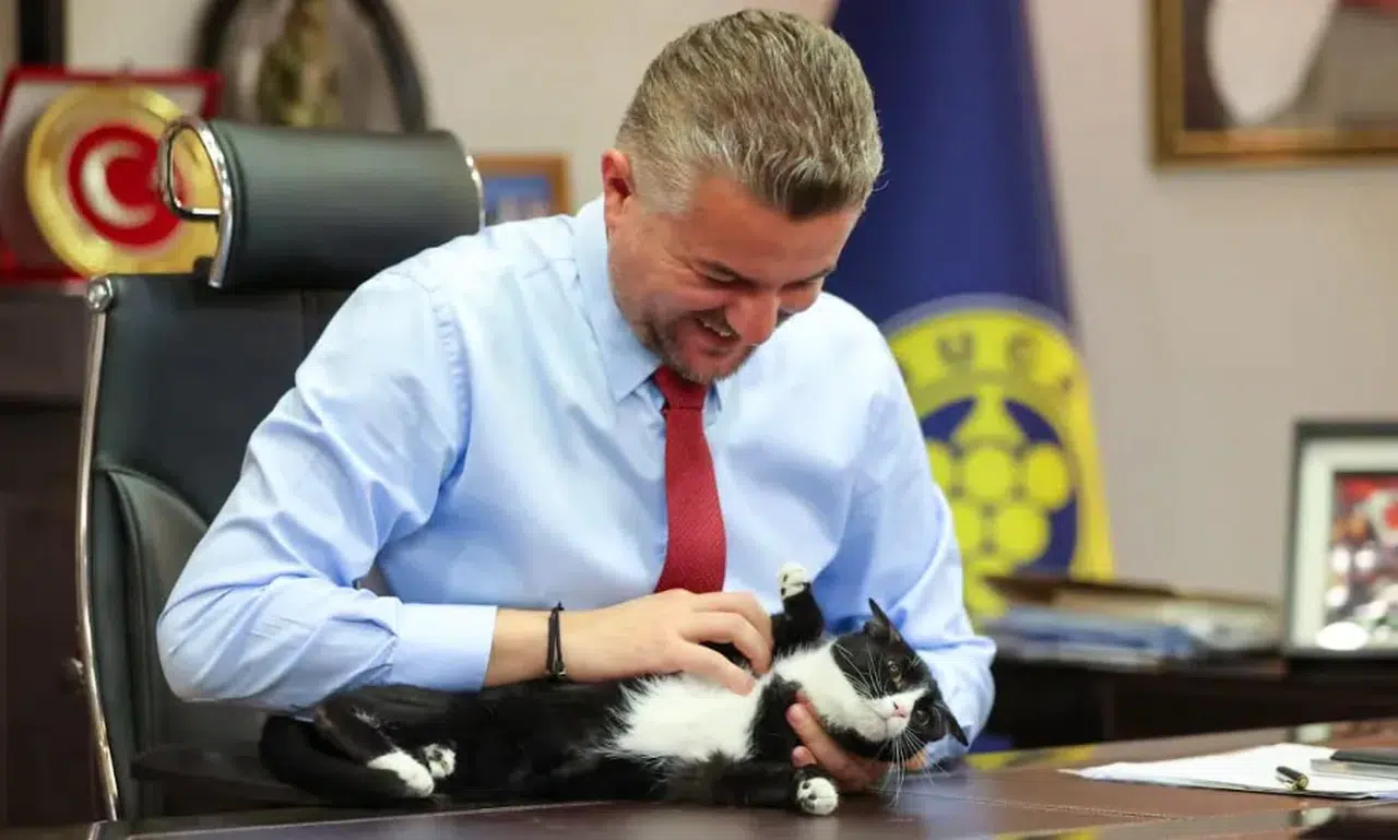 Buca Belediye Başkanı'ndan Hayvanları Koruma Günü'nde sokak hayvanlarına sahiplenme çağrısı