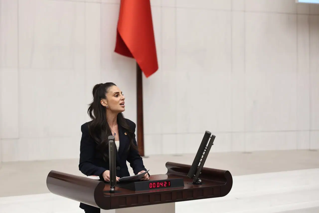 CHP'li Gizem Özcan, Datça İskelesi üzerindeki yetki gaspını TBMM'ye taşıdı
