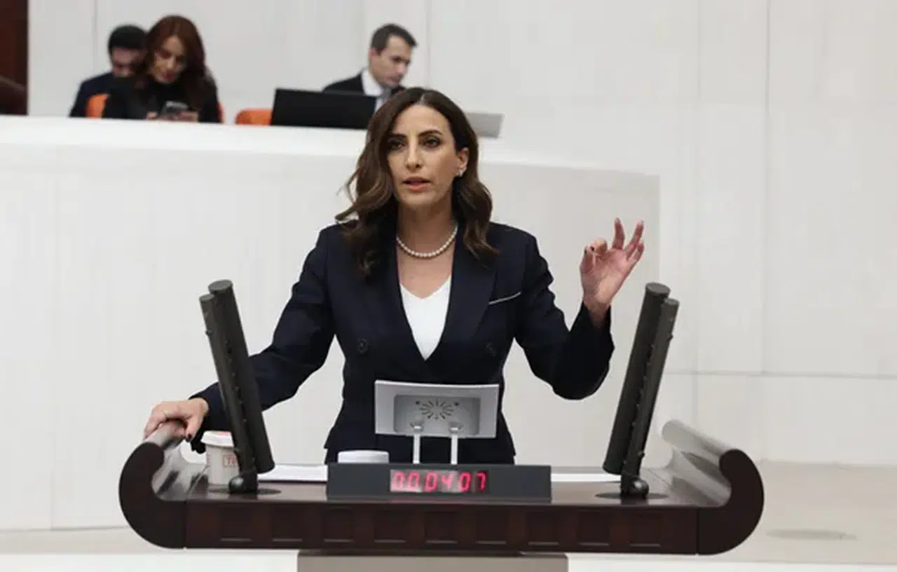 CHP'li Rızvanoğlu, Çatalca'da kuvars kum ocağına karşı çevresel etki endişeleri Meclis gündemine taşıdı