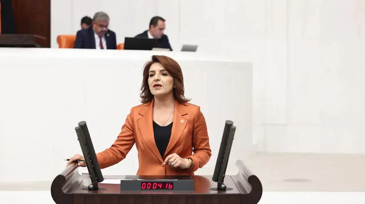 CHP'li Gülcan Kış: Ekonomik kriz halkın suçu değil, iktidarın yanlış politikaları!