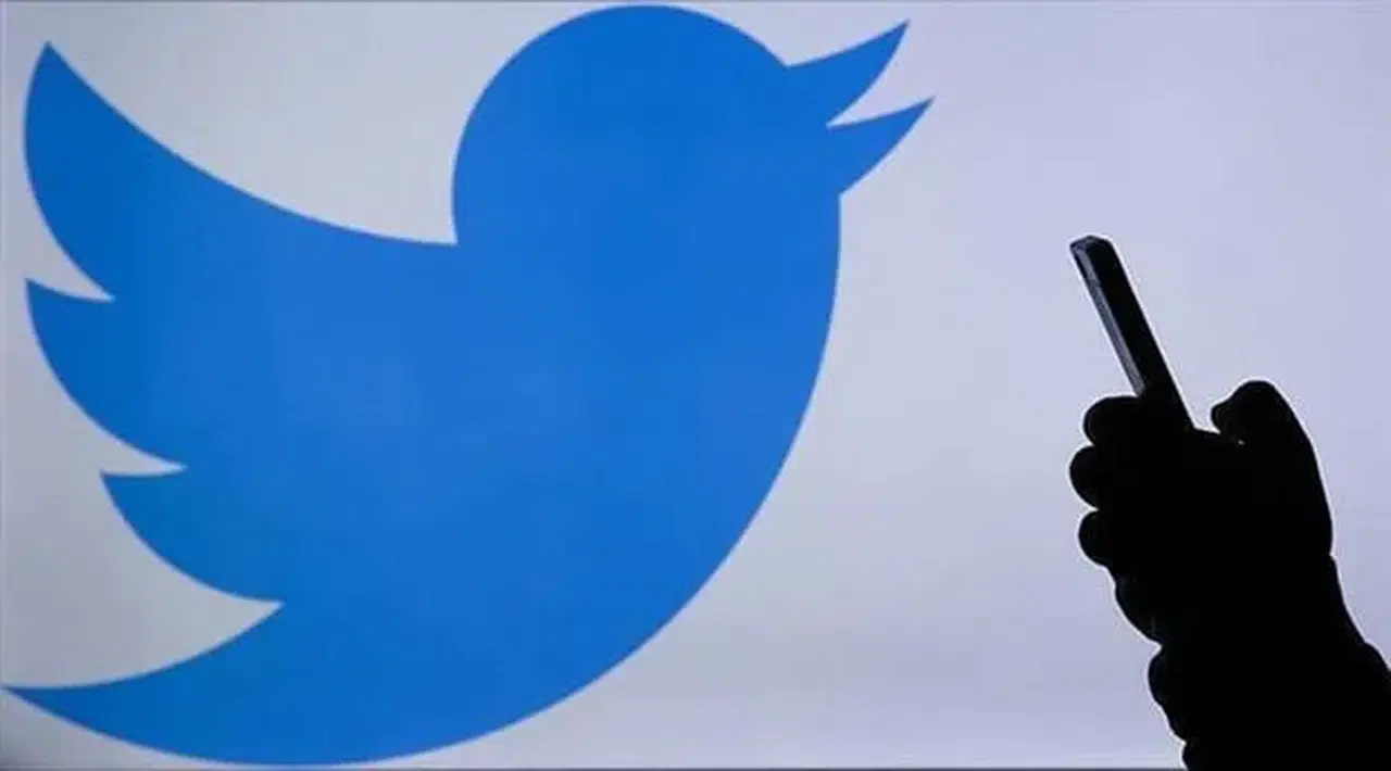 AKP'nin Trolleri birbirine girdi: Sen yemeyi daha iyi bilirsin