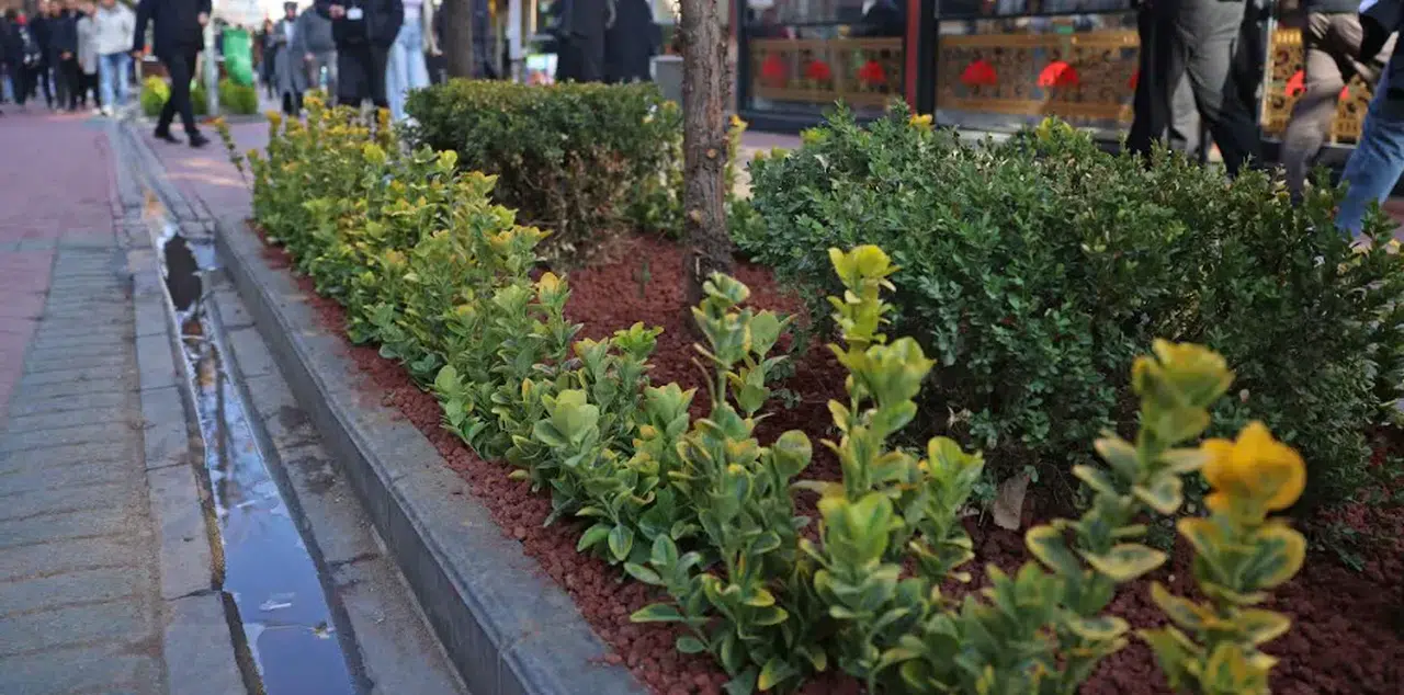 Çankaya Belediyesi'nden Yenileme Çalışmaları: Esnafla İşbirliği Devam Ediyor