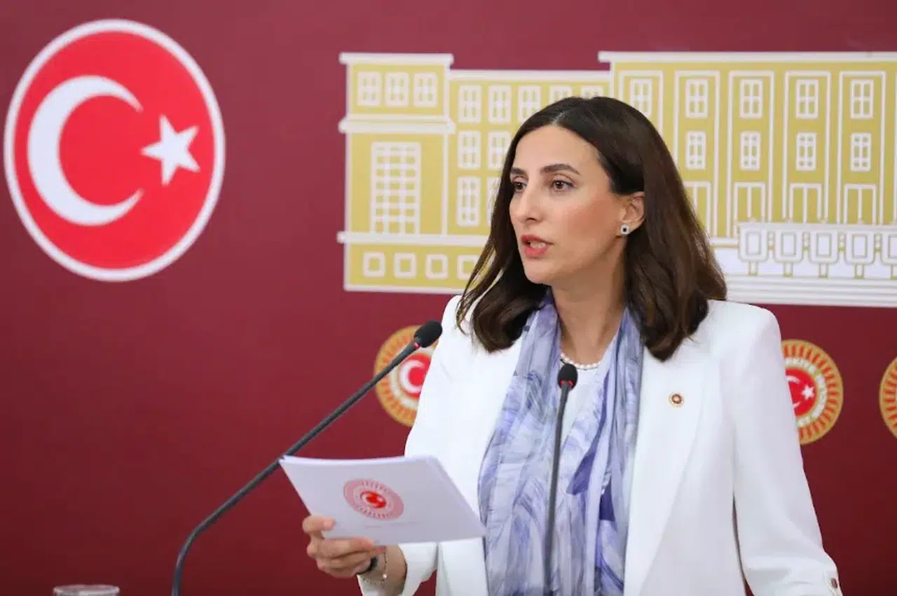 CHP'li Evrim Rızvanoğlu: Enerji politikası şirketlerin çıkarlarına göre şekilleniyor