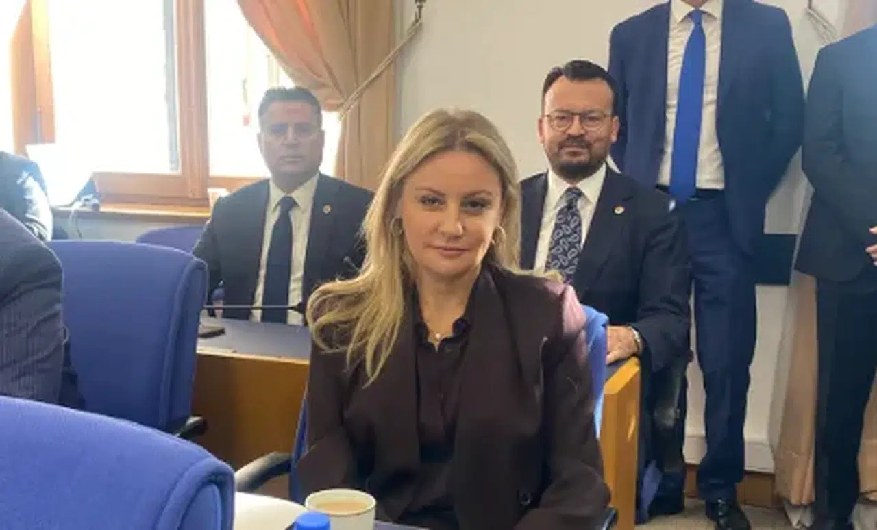 CHP'li Seda Kaya Ösen: "Katma değerli ihracat arttırılmalı ve teşvik edilmelidir"