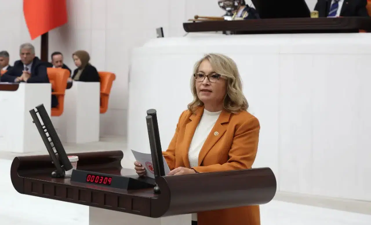 CHP’li Ayşe Sibel Yanıkömeroğlu: “Bu bütçe 85 milyonun değil, belli şirketlerin bütçesidir”