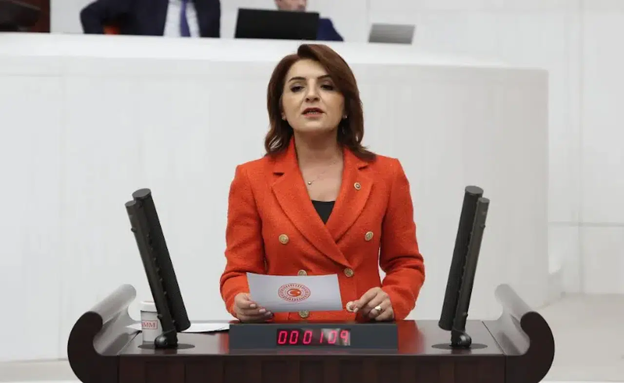 CHP'li Gülcan Kış: Saray'ın Ekim ayındaki harcaması tüm kamu kurumlarının toplamından fazla!