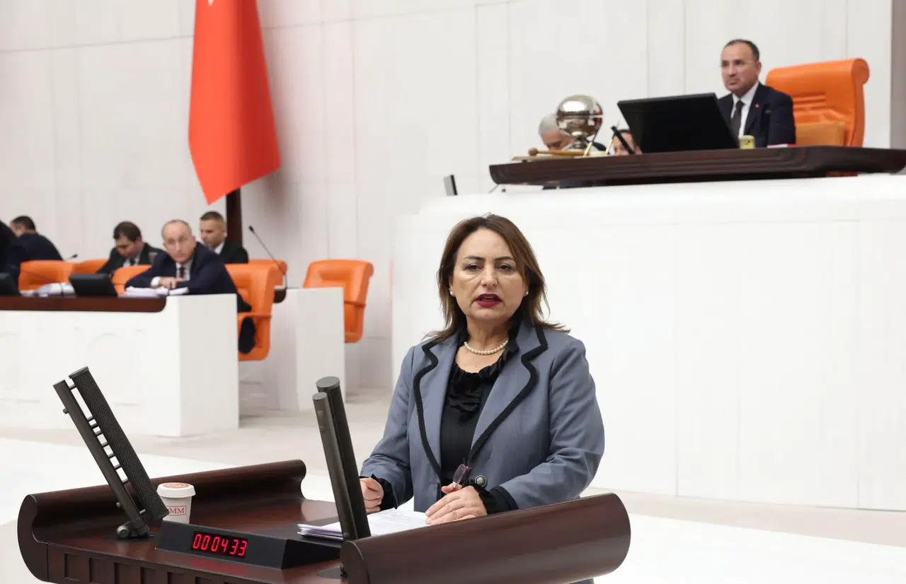 CHP’li Şevkin iktidarın ekonomi politikalarını eleştirdi: Vatandaş borç içinde