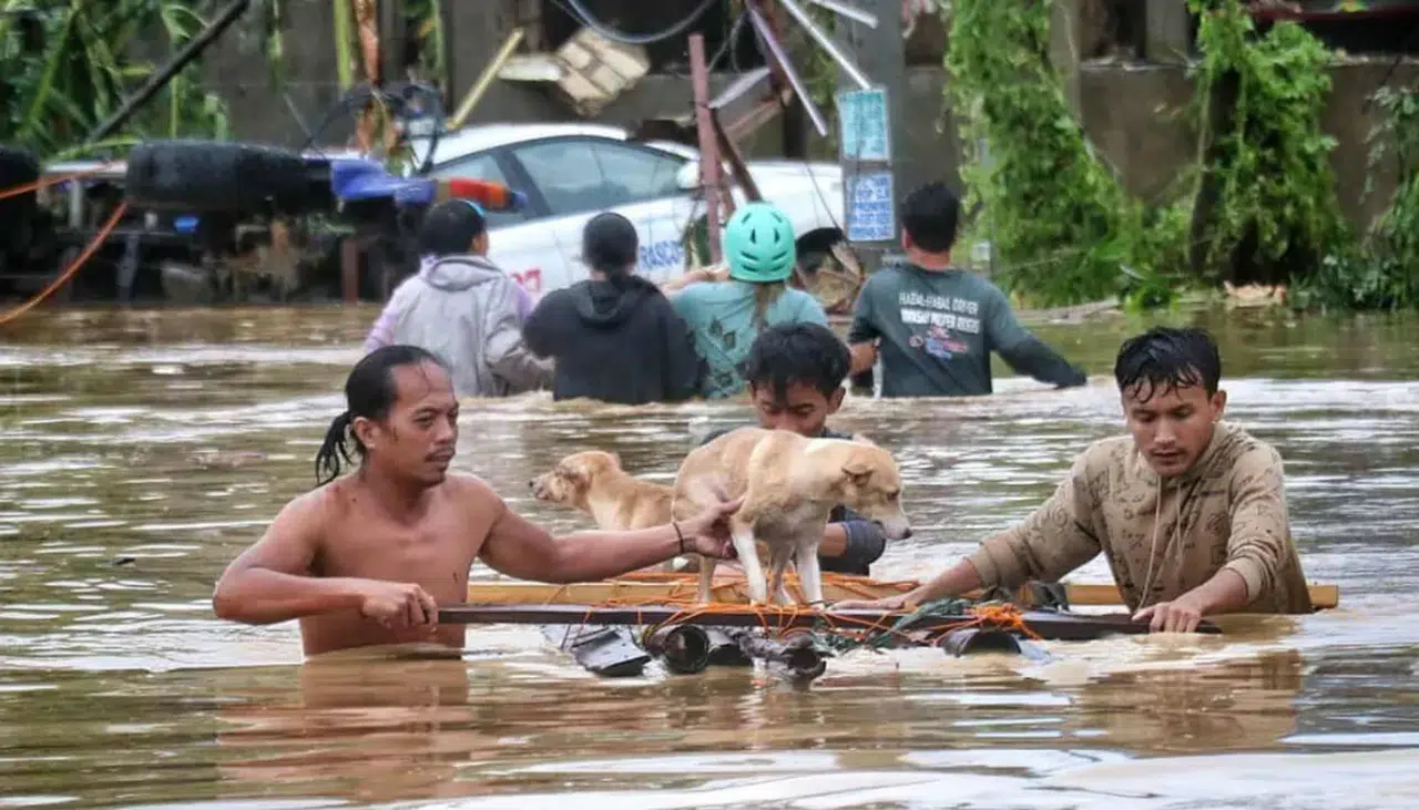 Filipinler'de Kalmaegi Tayfunu: 66 Ölü, 10 Yaralı ve 26 Kayıp ile Büyük Yıkım devam ediyor