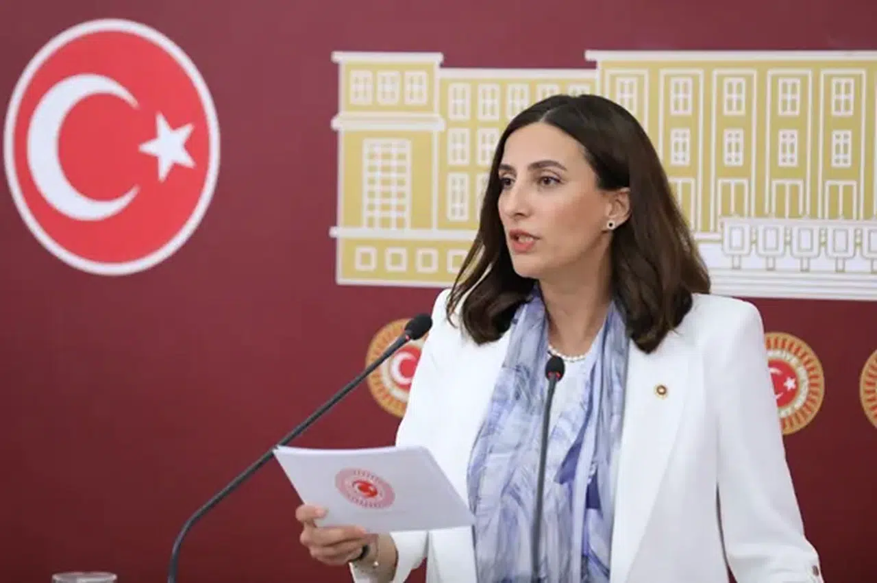 CHP'li Evrim Rızvanoğlu: Gençler ekonomik krizle boğuşuyor