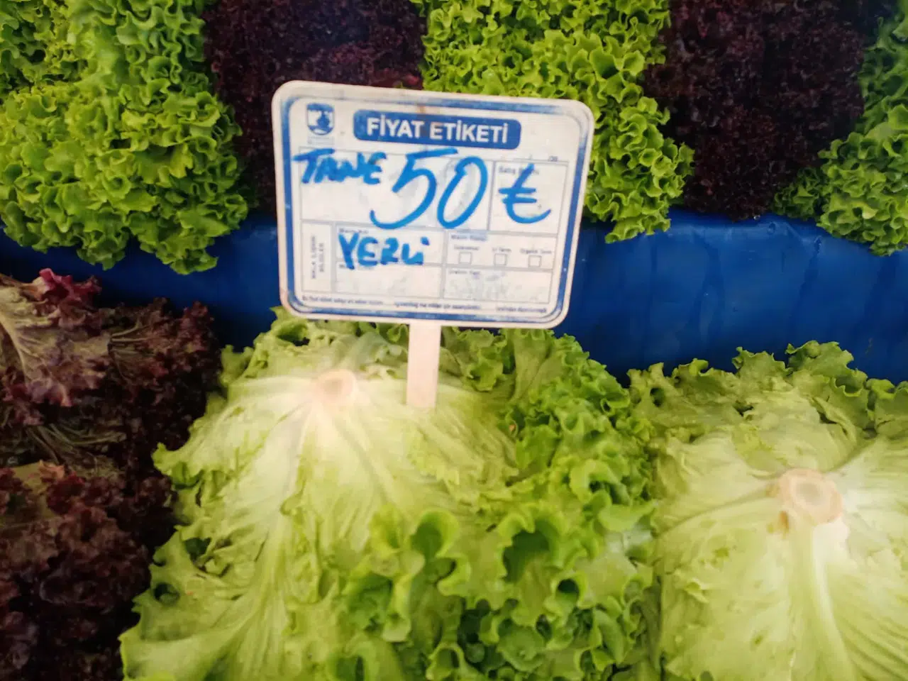 Tarlada 2 TL olan Marul, pazarda 50 TL