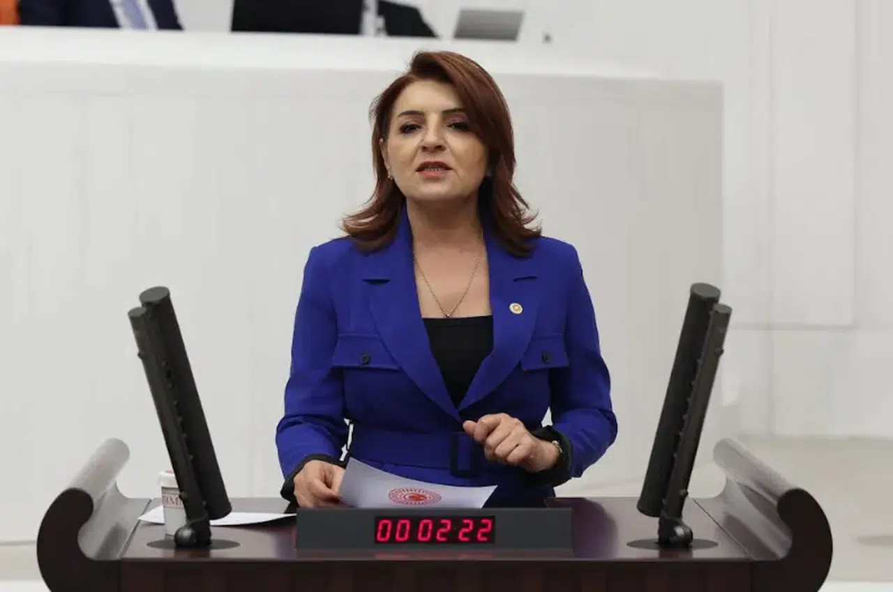 CHP'li Gülcan Kış: 2025 bütçesi borçlanma talimatıdır, halkın geleceği bankaların elinde!