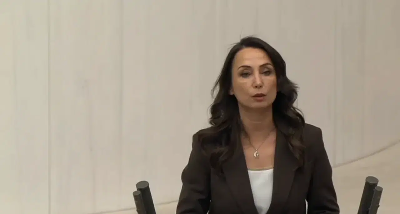 DEM Parti: Kürt meselesi, Cumhuriyetin kurucu hukuk sözleşmesinin eksik bırakılmış yanıdır, tamamlanmalıdır