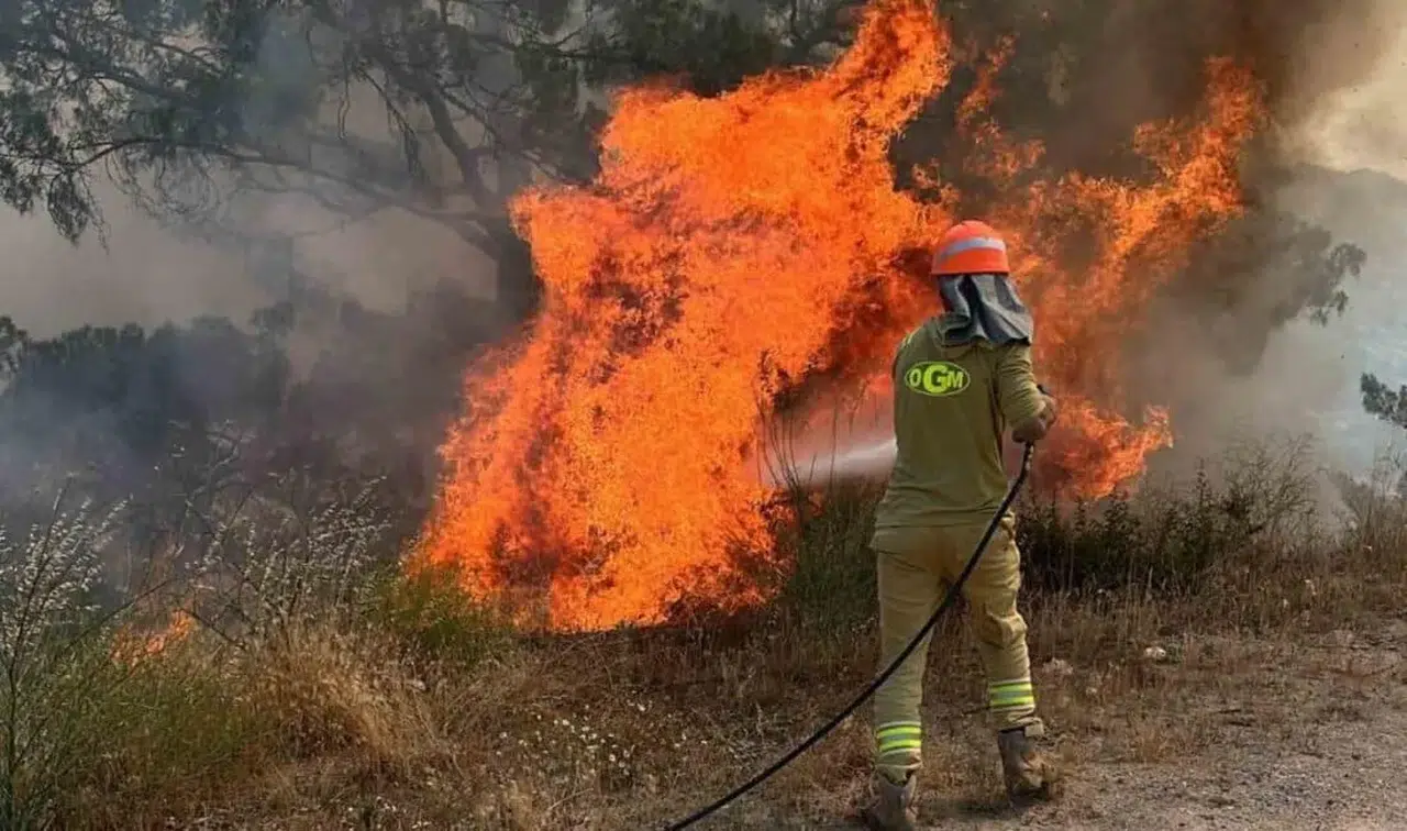Muğla Yatağan’da Ziraat Arazisinde Yangın Paniği: Orman Ekipleri Müdahalede