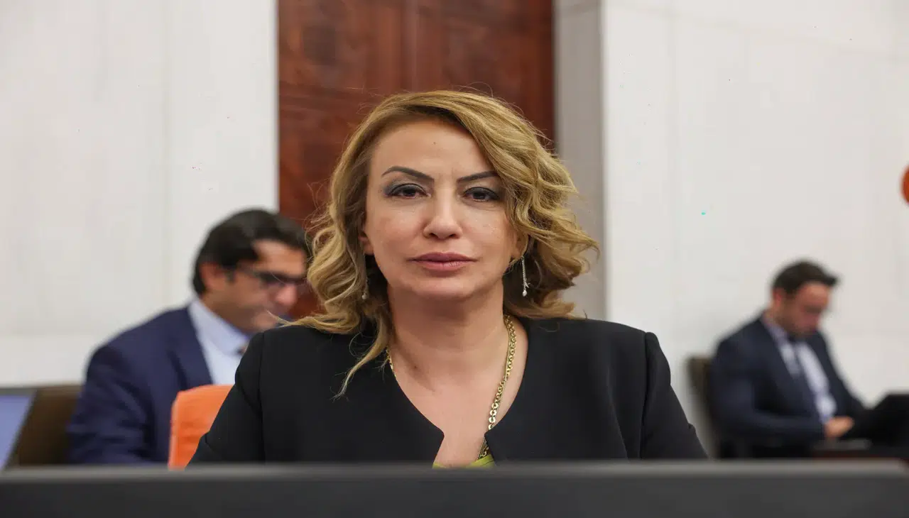 Nermin Yıldırım Kara'dan Reyhanlı'nın sorunlarına dair basın açıklaması!