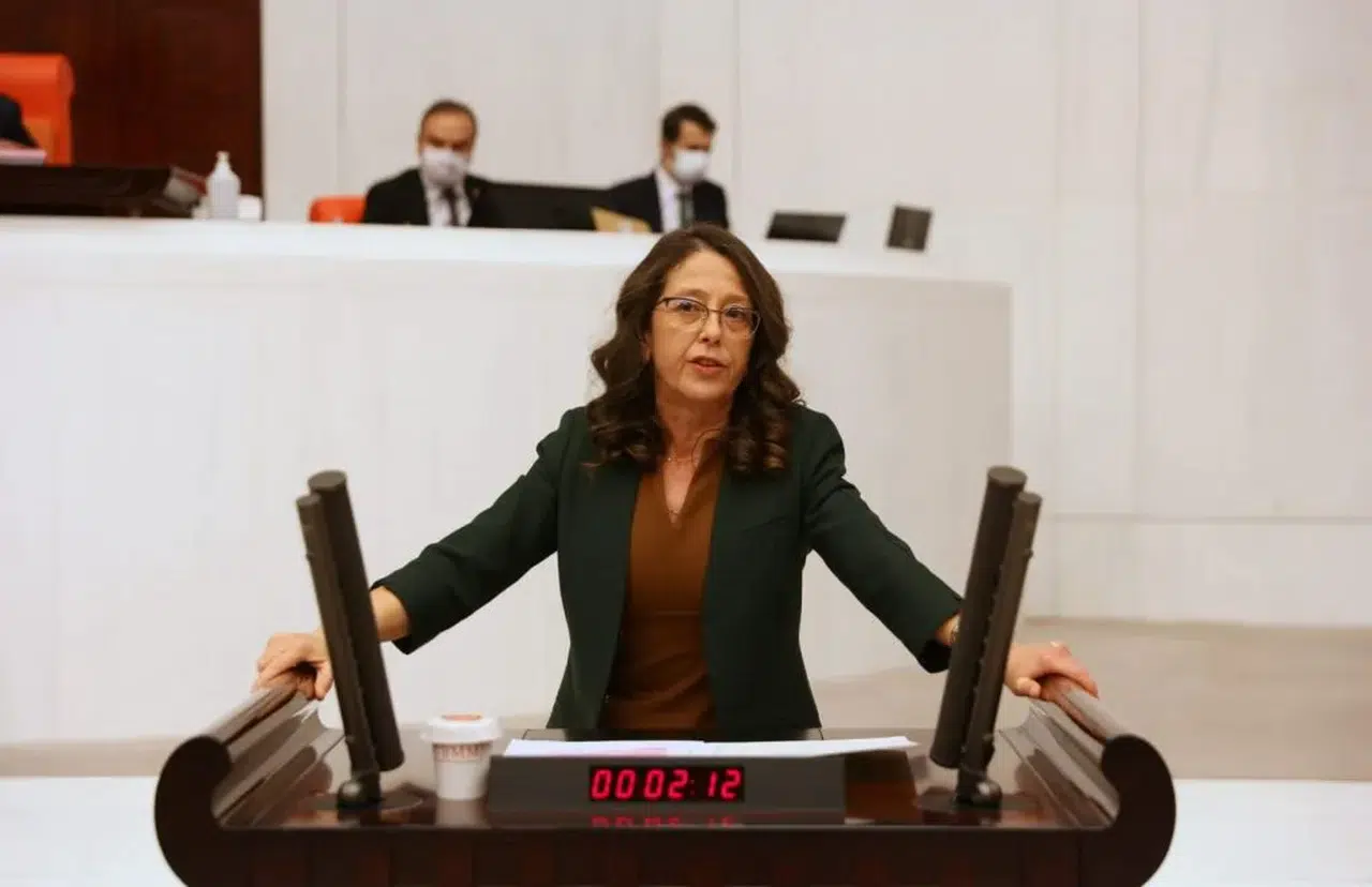 Oya Ersoy; Erkeklerin şiddetine uğrayan kadınların şiddet mağduru olmaları değil de sayılarının basına yansıması rahatsız etti?