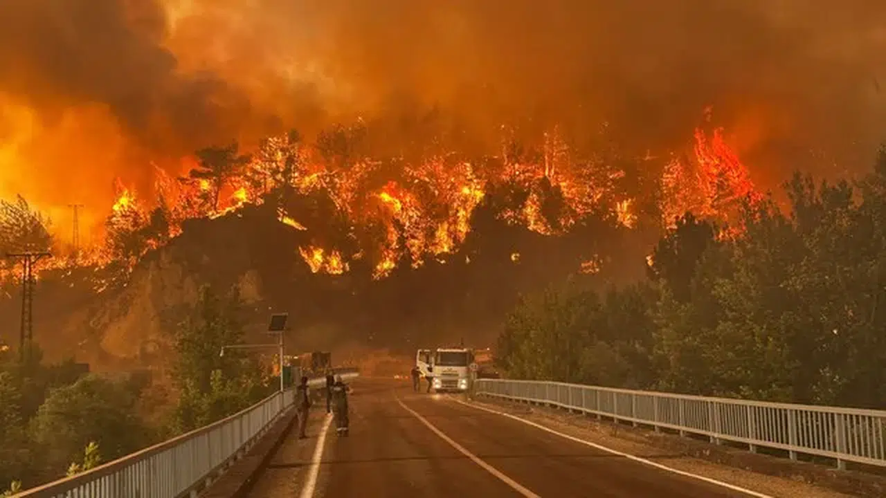 Vahap Seçer'den orman yangınlarına dikkat: "Bir kıvılcım her şeyi yok edebilir"