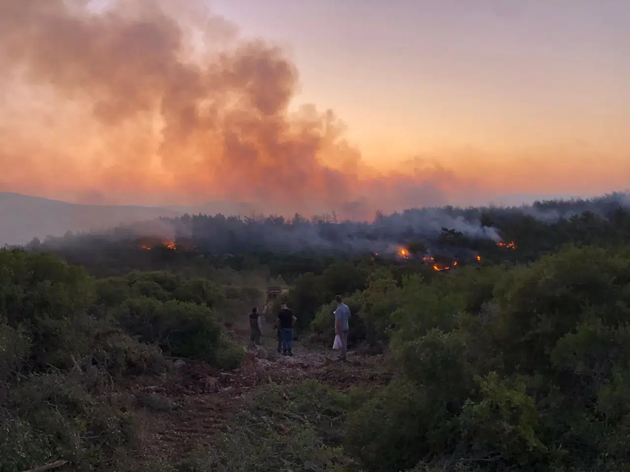 İzmir Urla’da Orman Yangını Gece Saatlerinde Kontrol Altına Alındı