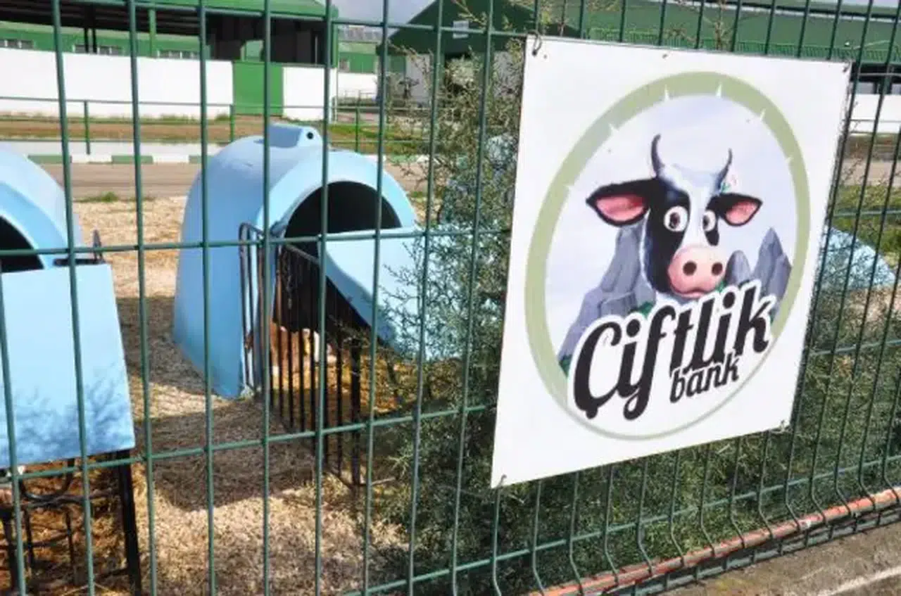 Çiftlik Bank soruşturmasında kritik gelişme! Toplanan para bilinenden çok fazla çıktı!