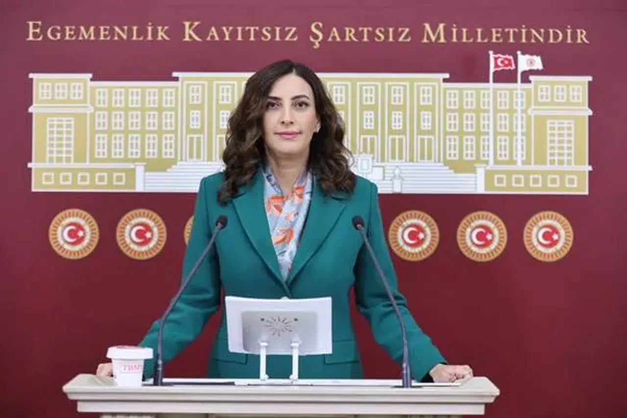 İstanbul Milletvekili Rızvanoğlu, kaçan aslan olayı için bakanlığa soru önergesi verdi