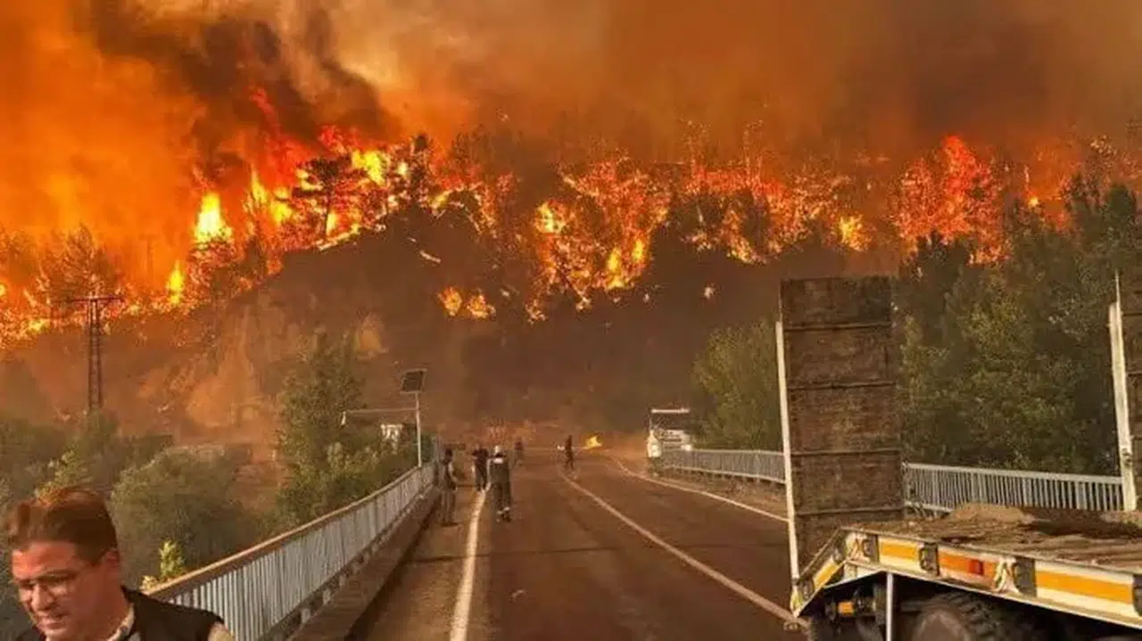 Maltepe Belediyesi’nden Bursa’daki Yangına Destek: 10 Kişilik Ekip Sahada