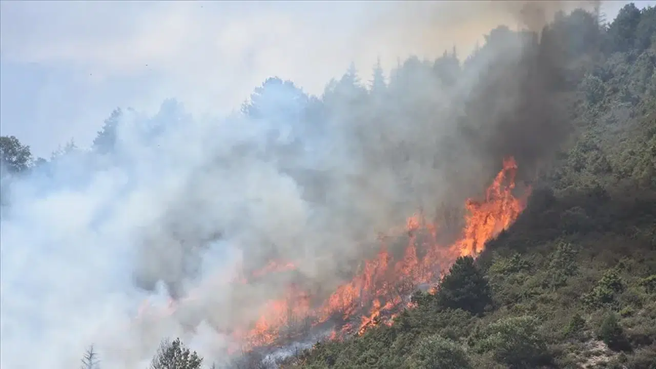 CHP’den Meclis’e Kritik Yangın Soruşturması: “Orman da İnsan da Yandı” İddiası