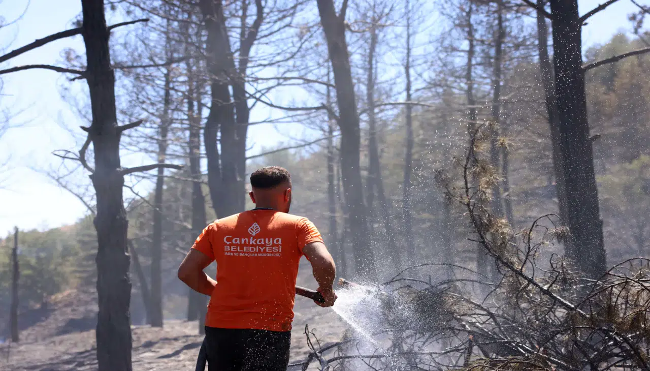 Çankaya'da Eymir Ormanı'ndaki yangına hızlı müdahale, sebebi belirsiz!