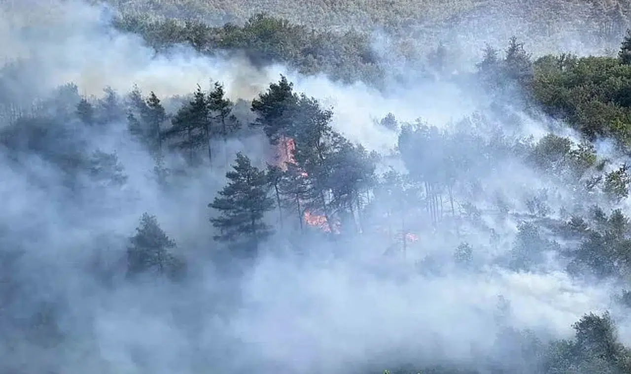İBB’den Sakarya-Bilecik Orman Yangınına Çok Yönlü Müdahale: Yangın Kontrol Altında