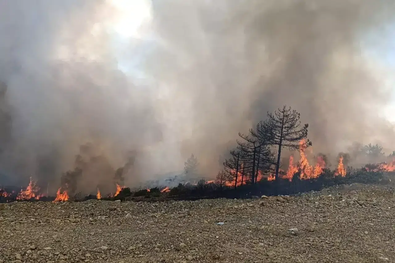 Davutoğlu'ndan Karahıdır Köyü'ne Yangın Ziyareti: “Geç Müdahalenin Hesabı Sorulmalı”