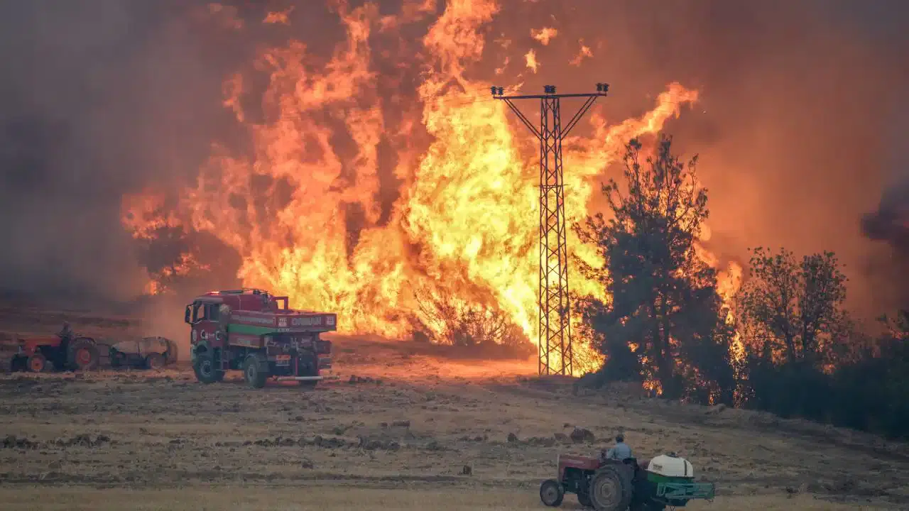 Bilecik'teki yangın rüzgarın etkisiyle yeniden alevlendi, müdahaleler yetersiz kaldı!