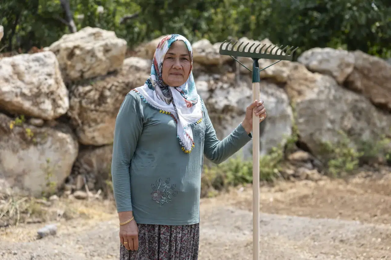 Yenişehir'de Safran Üretimi Yaygınlaşıyor, Çiftçiler Umutla Hazırlanıyor