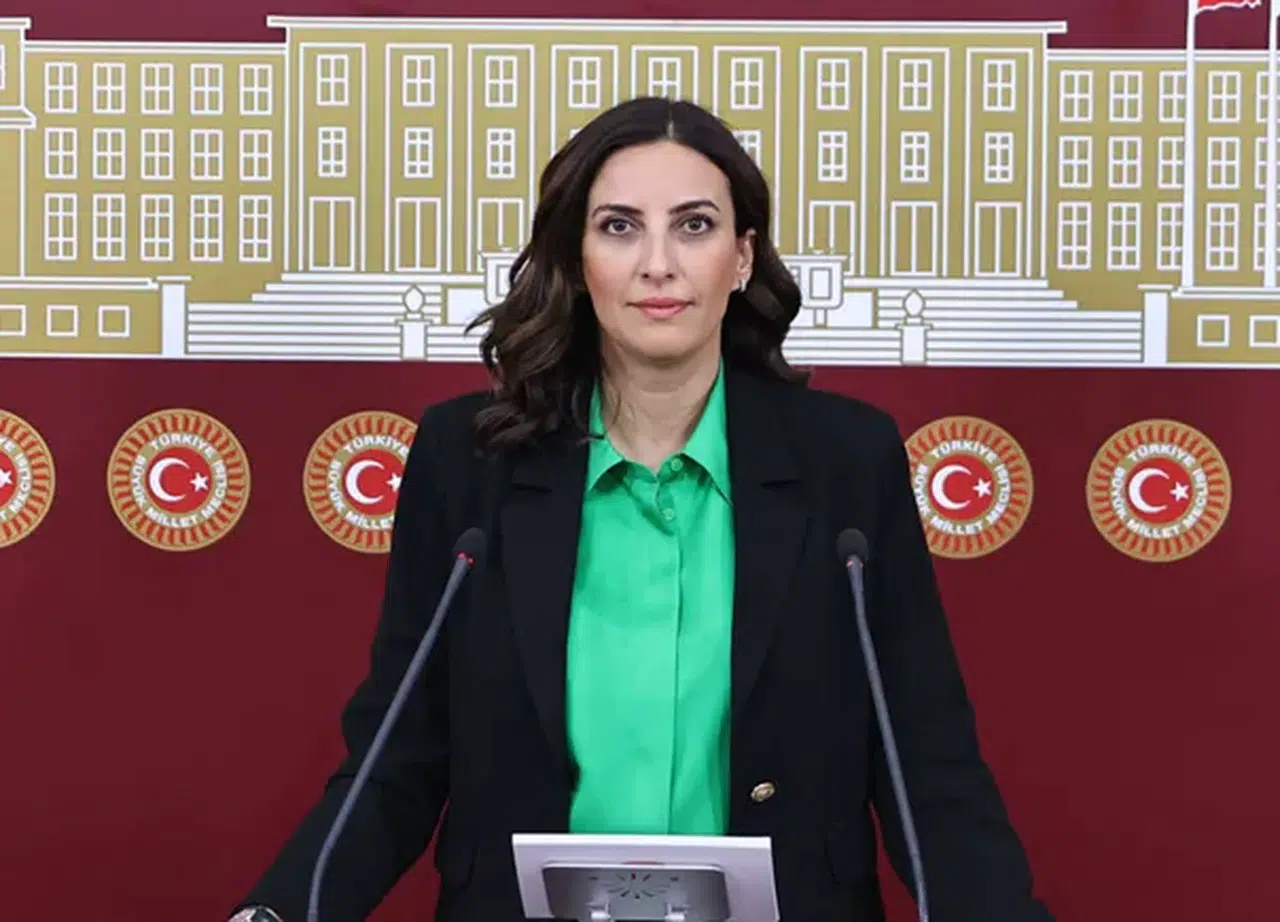 CHP'li Rızvanoğlu: “24 Bin ağaç kesilecek, bu Anayasa’yla açıkça çelişiyor”