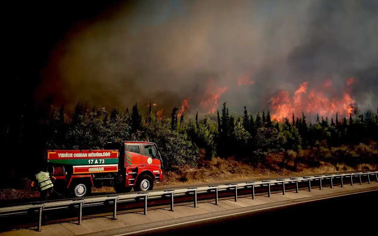 Orman Genel Müdürü: “Yangını En Kısa Sürede Kontrol Altına Alacağız”