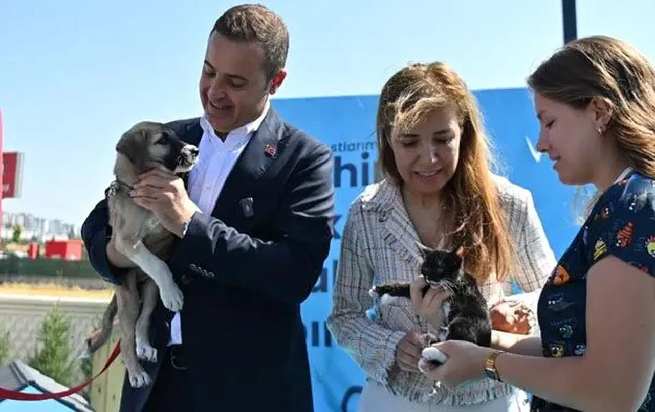 Balıkesir Büyükşehir Belediyesinin Can Dost’u şifa dağıtıyor