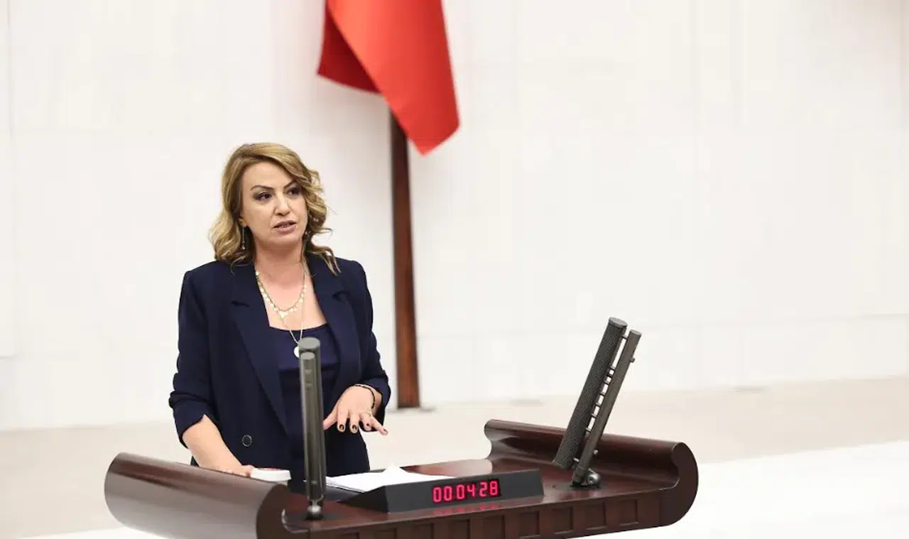 CHP'li Kara: 1 Aylık Çocuk Desteği 300 TL 1 Adet Çocuk Maması 900 TL