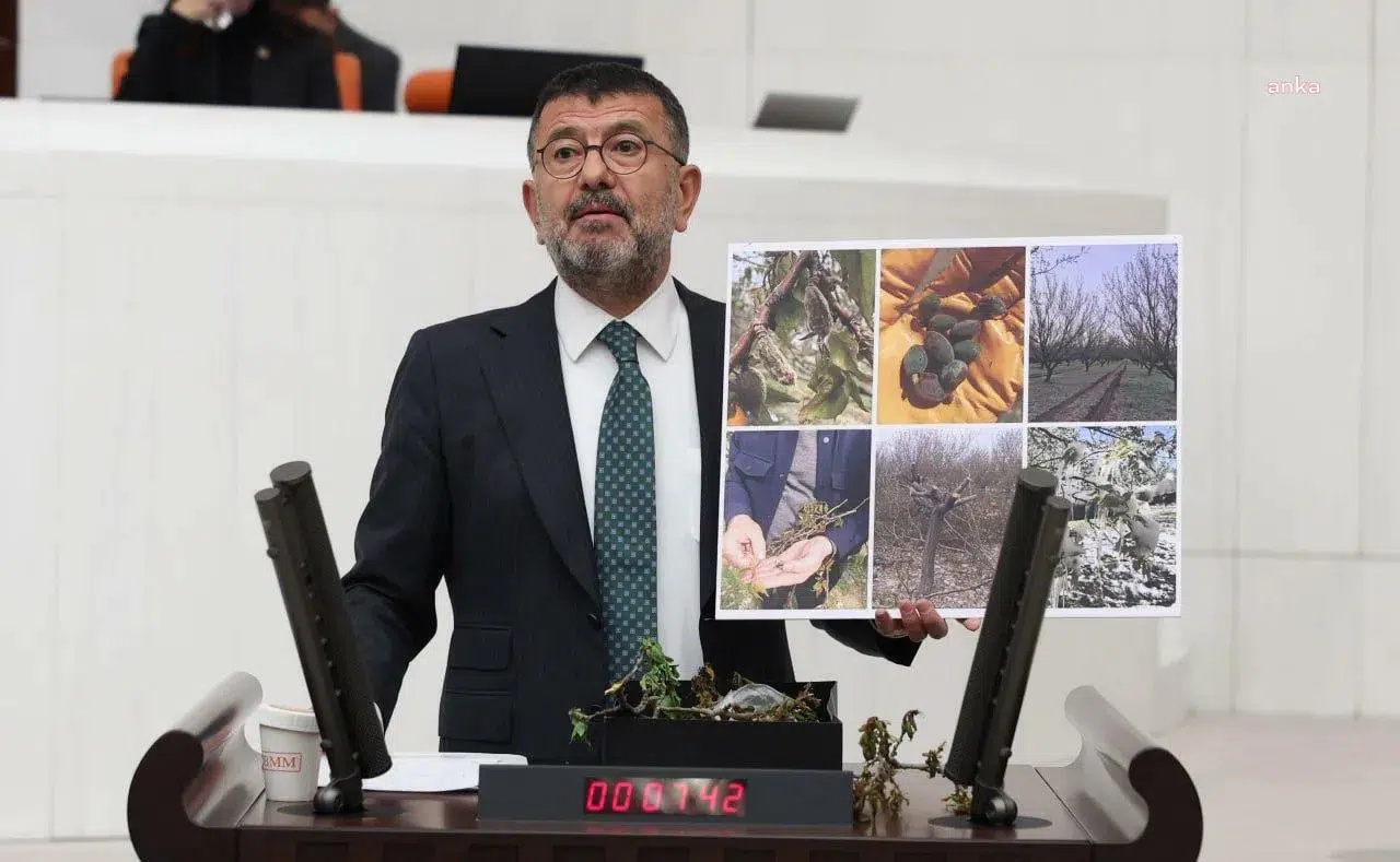 Veli Ağbaba: "Malatya’daki Don Felaketi Sonrası Çiftçiler Desteksiz Kaldı"