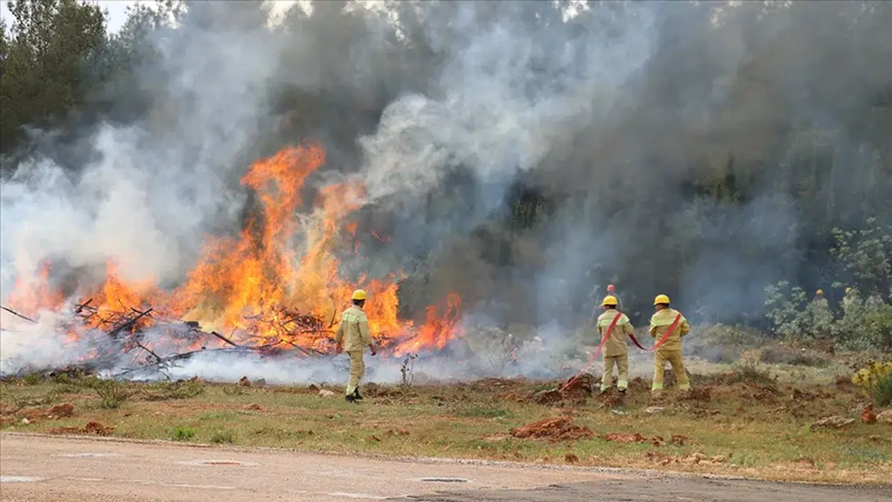 Orman Genel Müdürlüğü Seferber Oldu: 50’den Fazla Araçla Yangınla Mücadele