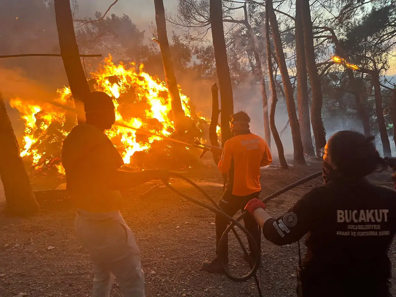 Buca’daki Orman Yangını Kontrol Altına Alındı, Ekipler Gece Boyu Mücadele Etti