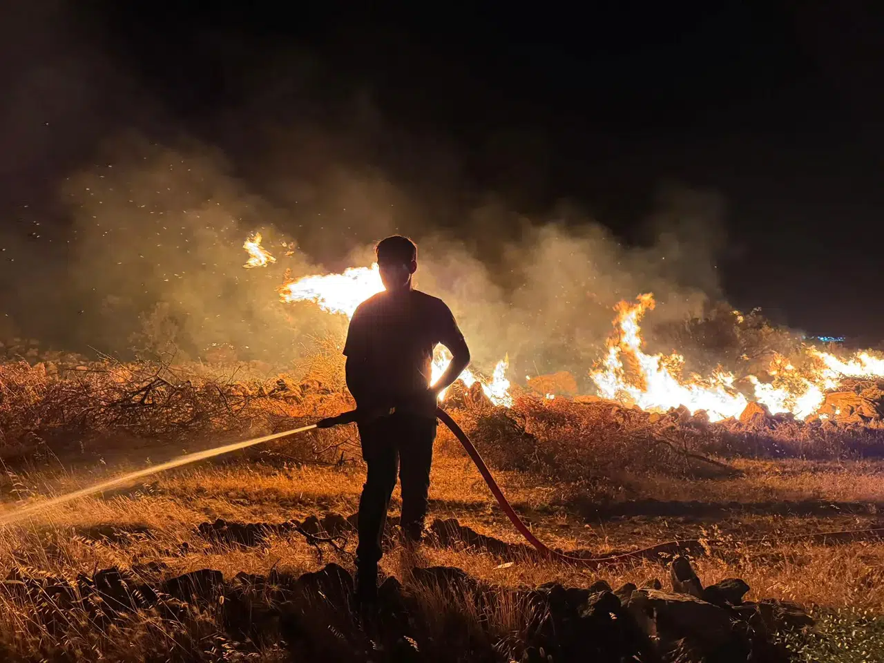 İzmir Buca ve Gaziemir’de Araç Yangını Ormana Sıçradı: Ekipler Seferber Oldu
