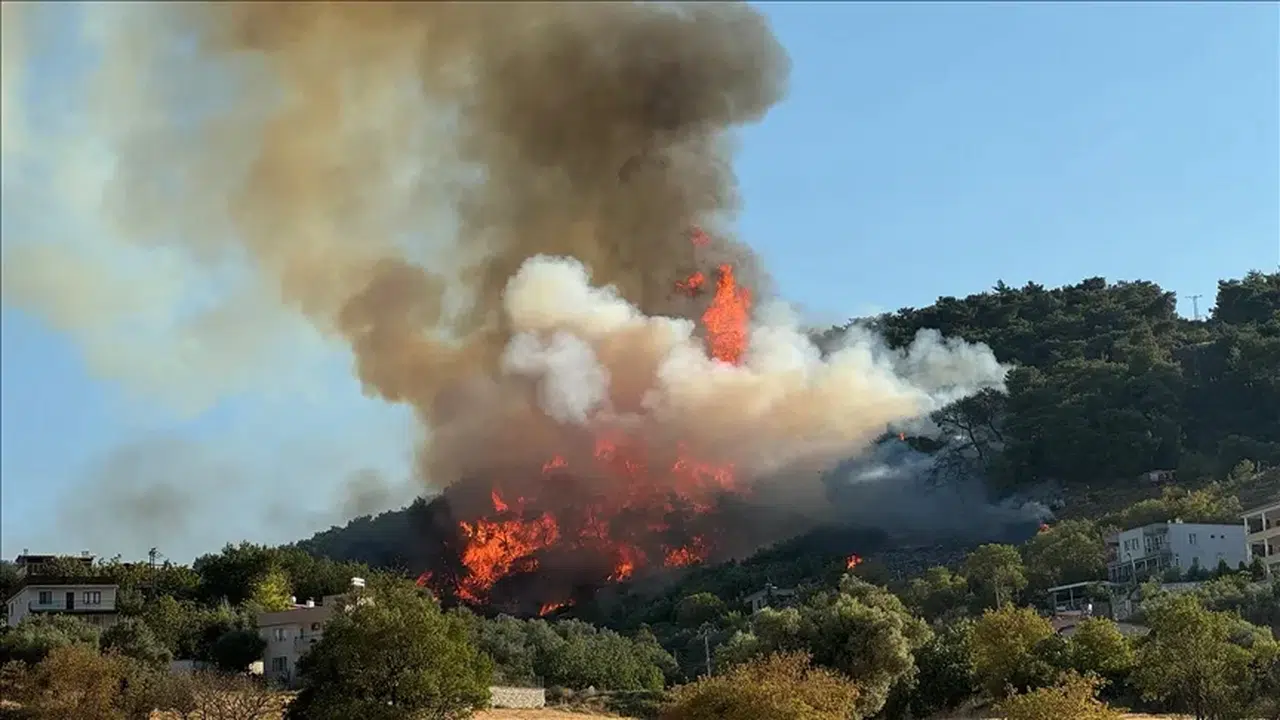Soma'da Orman Yangını: Havadan ve Karadan Müdahale Sürüyor