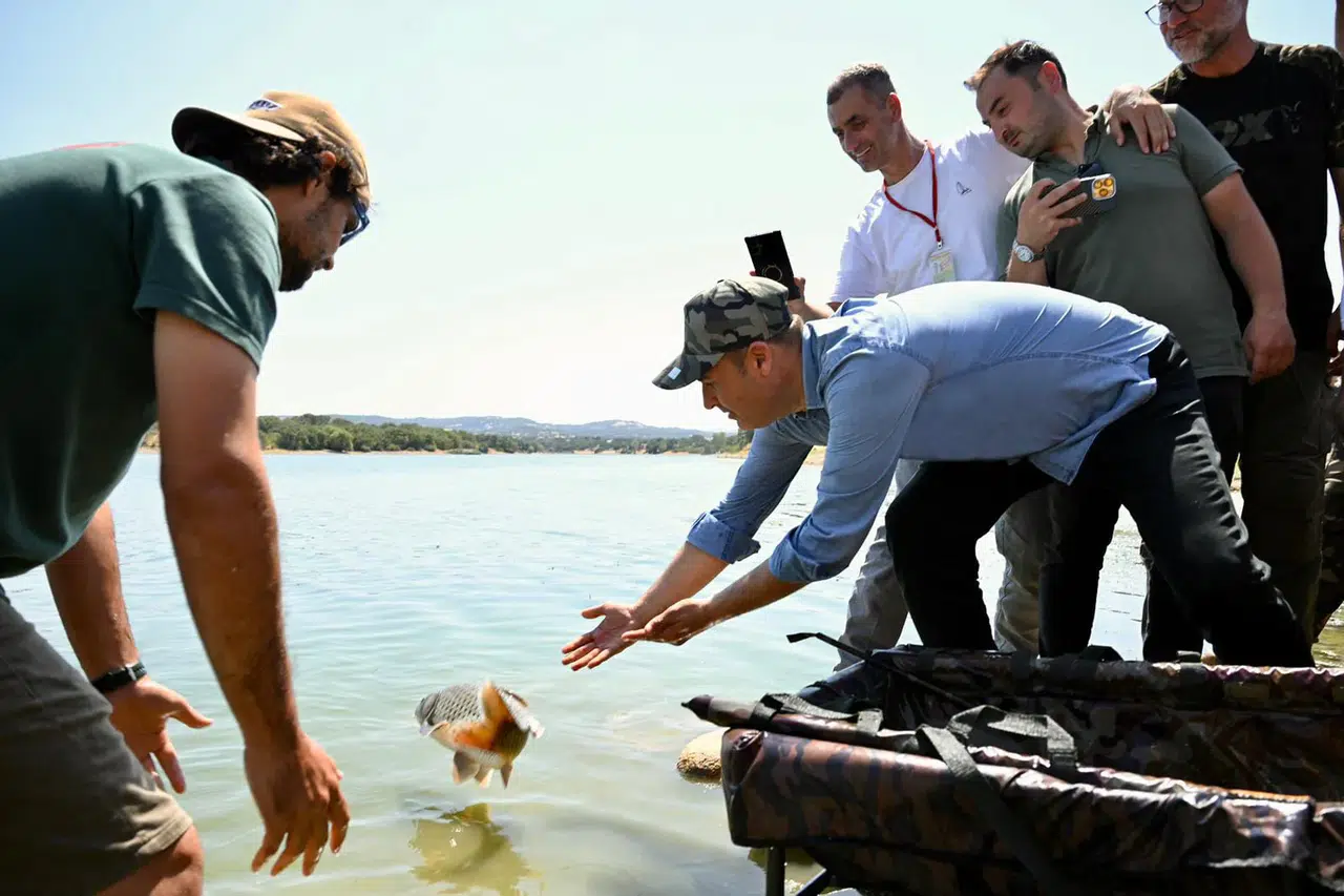 Sazan Meraklılarına Müjde: İvrindi Göleti Sportif Olta Balıkçılığıyla Canlanıyor
