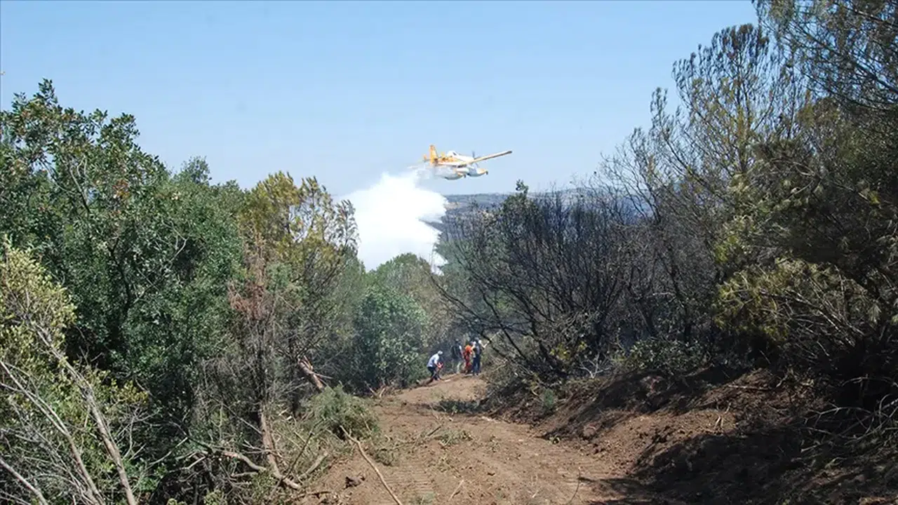 Çanakkale'de Yangın Alarmı: Sarıcaeli ve Yiğitler Köyü Alevlere Teslim