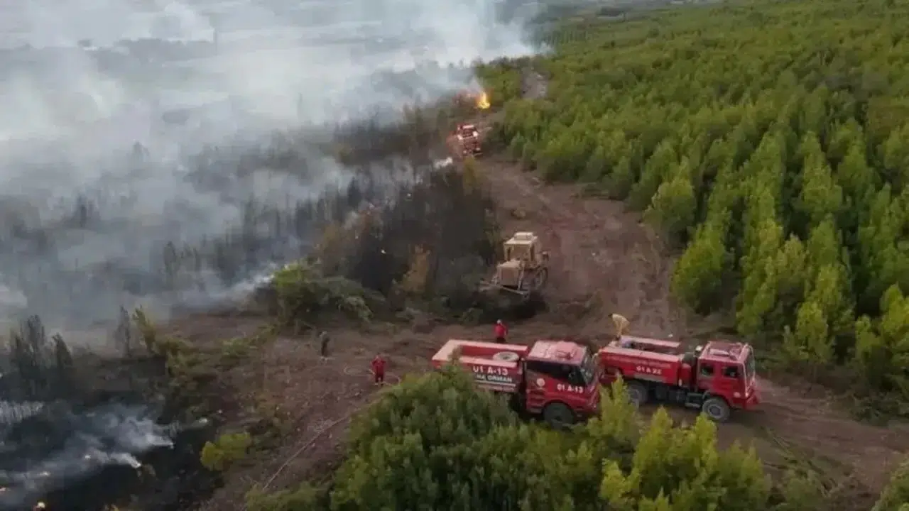Osmaniye’de Arazöz Kazası: Orman İşçisi Adem Nazım Demirel Şehit Oldu